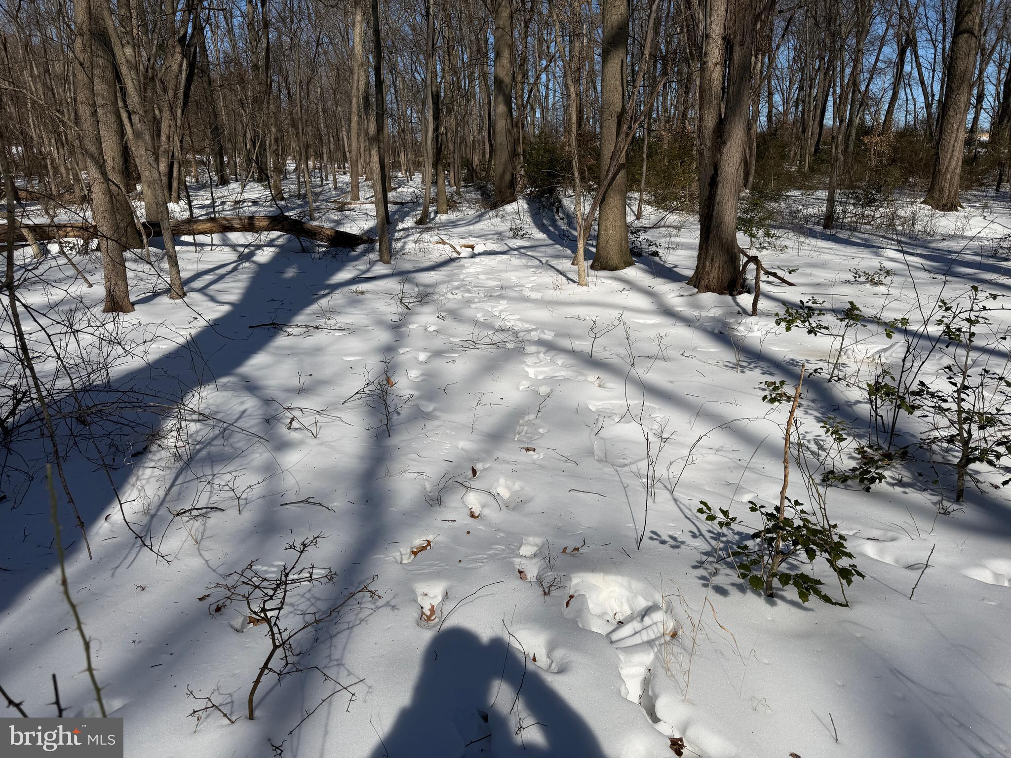 1-acre Elmer School Road Dickerson, MD 20842 - Photo 25 of 28