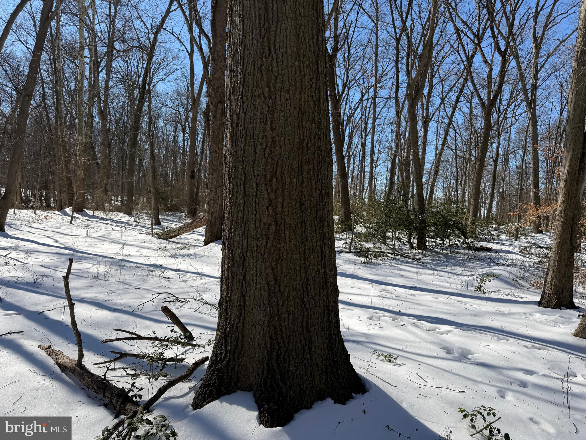 1-acre Elmer School Road Dickerson, MD 20842 - Photo 26 of 28