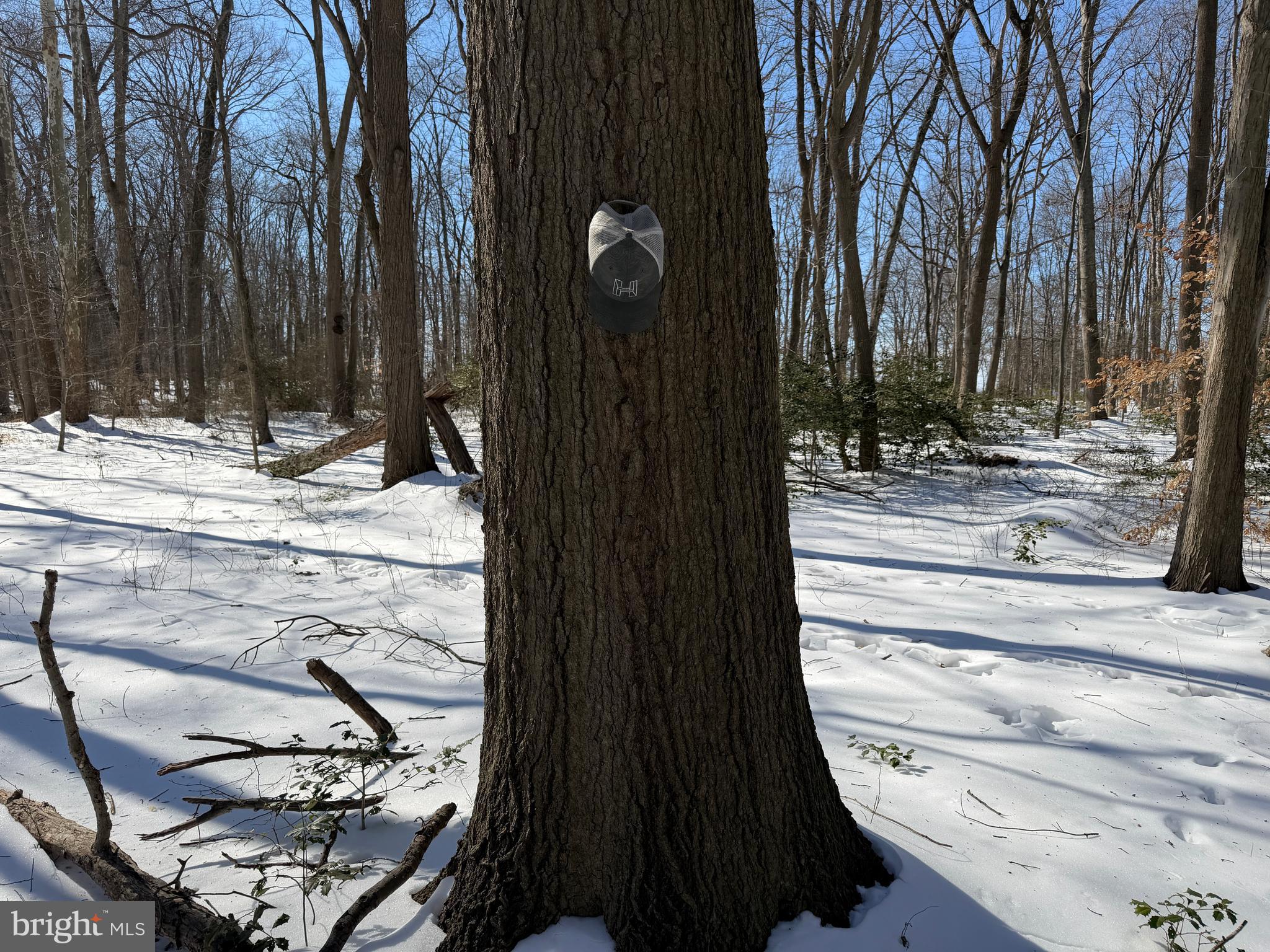 1-acre Elmer School Road Dickerson, MD 20842 - Photo 27 of 28