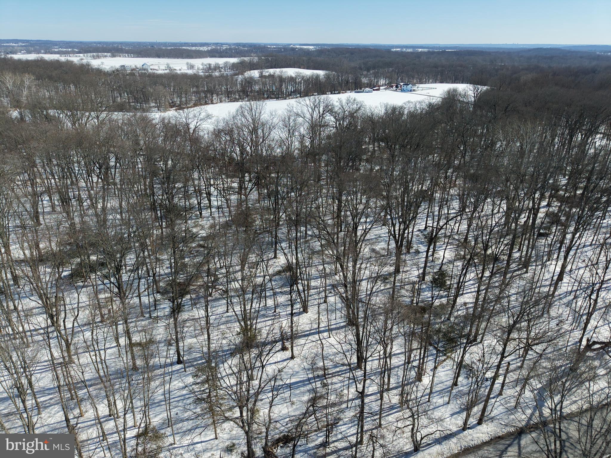 1-acre Elmer School Road Dickerson, MD 20842 - Photo 3 of 28