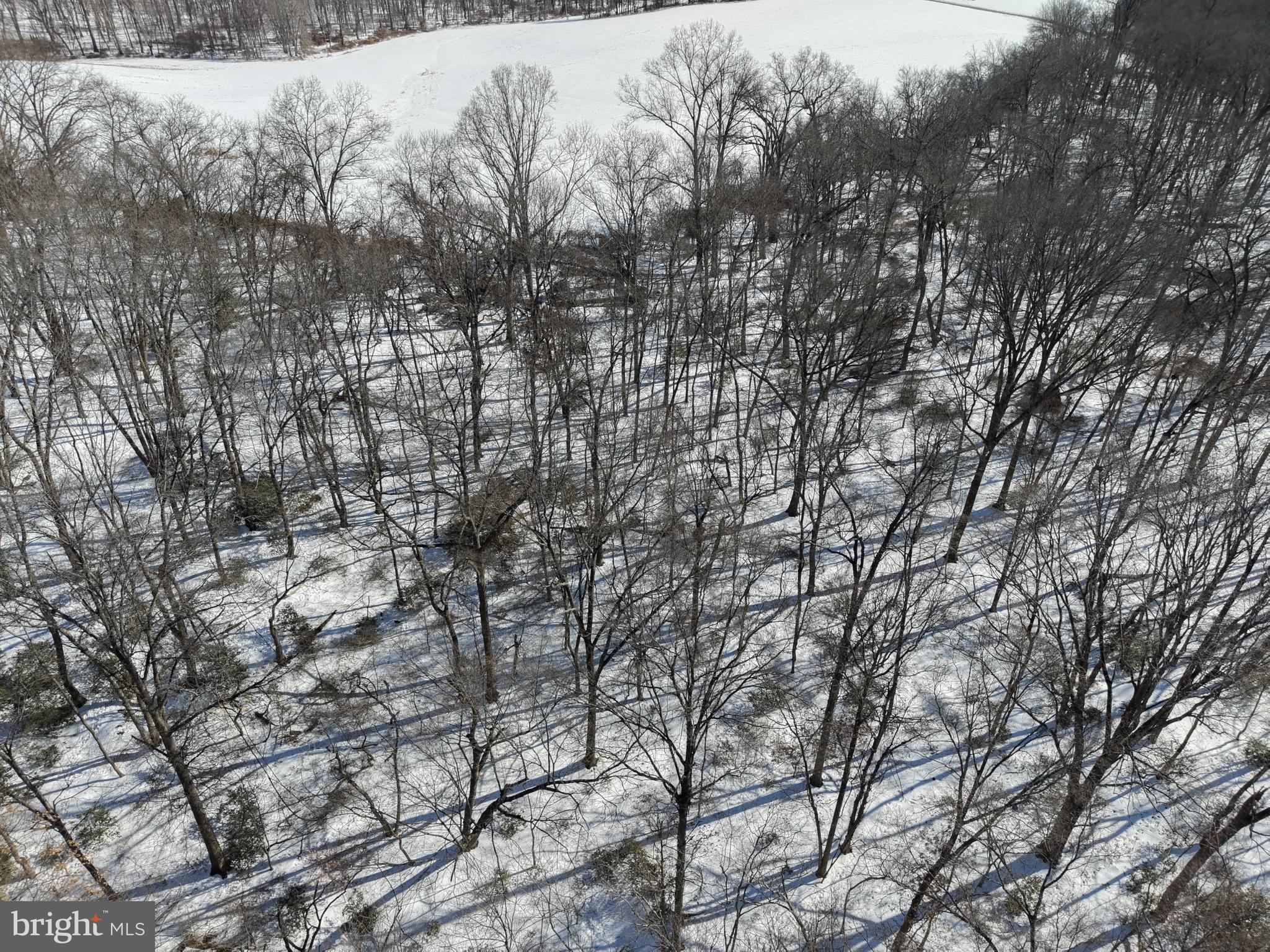 1-acre Elmer School Road Dickerson, MD 20842 - Photo 4 of 28