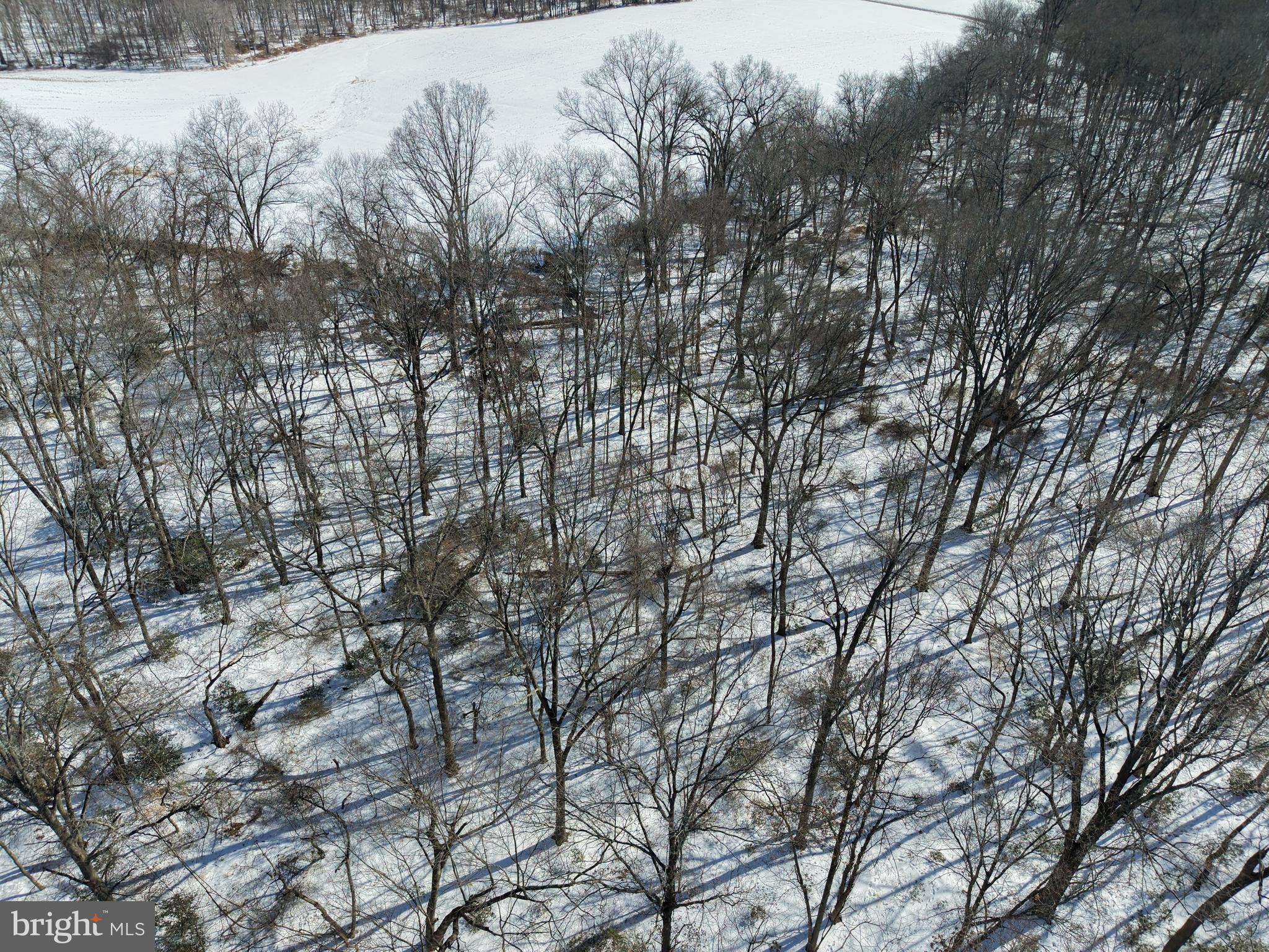 1-acre Elmer School Road Dickerson, MD 20842 - Photo 5 of 28