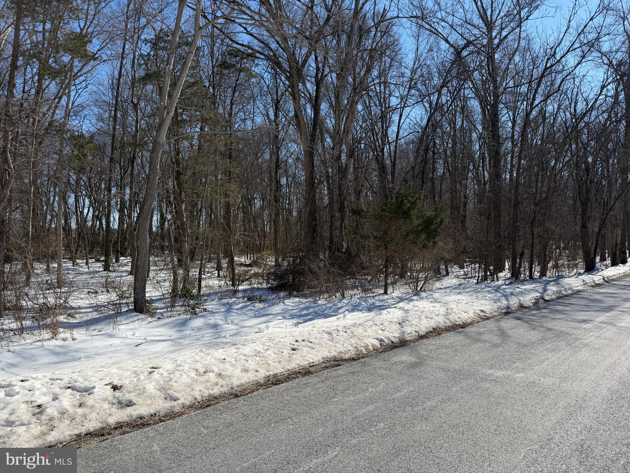 1-acre Elmer School Road Dickerson, MD 20842 - Photo 7 of 28