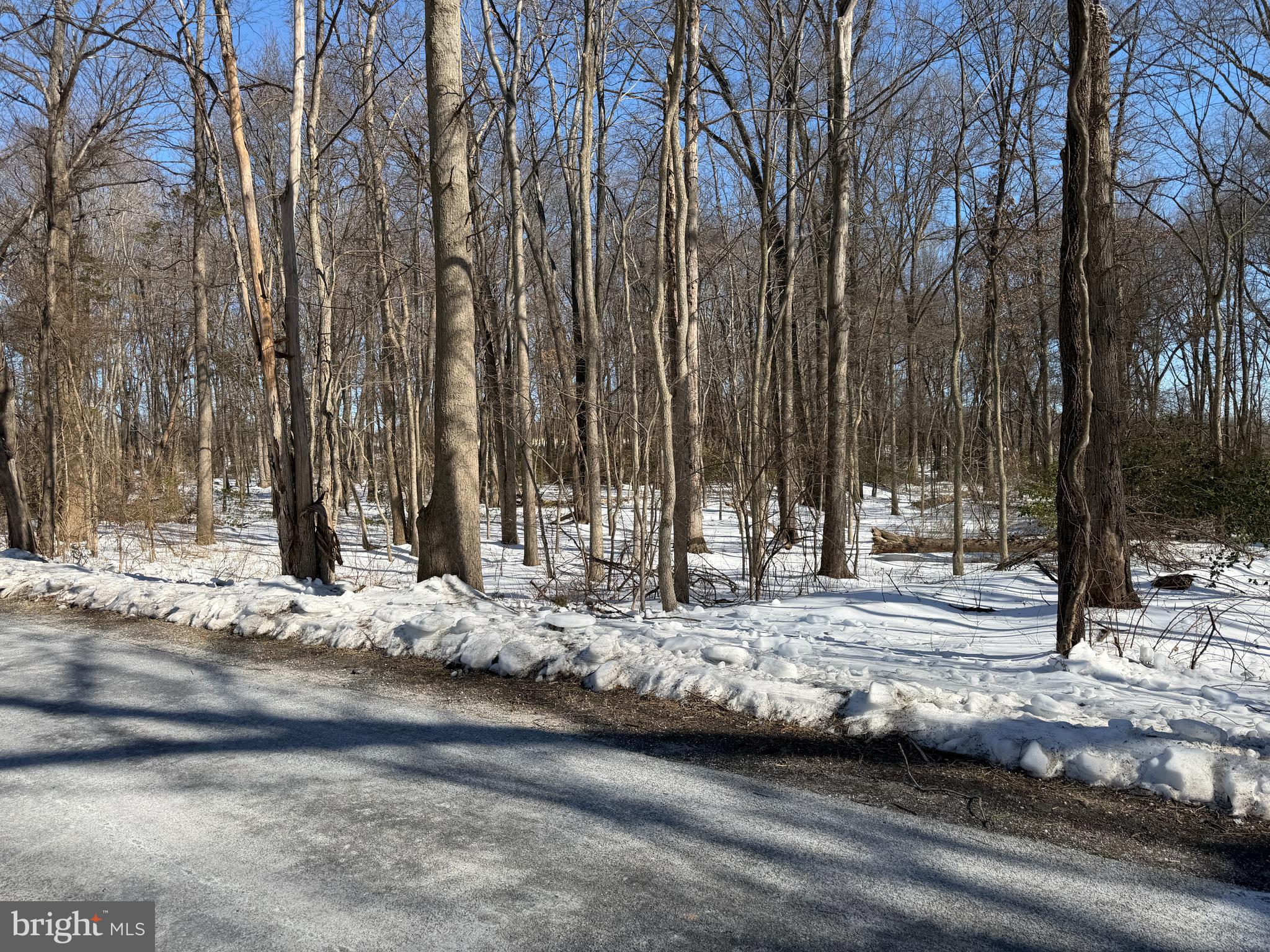 1-acre Elmer School Road Dickerson, MD 20842 - Photo 10 of 28