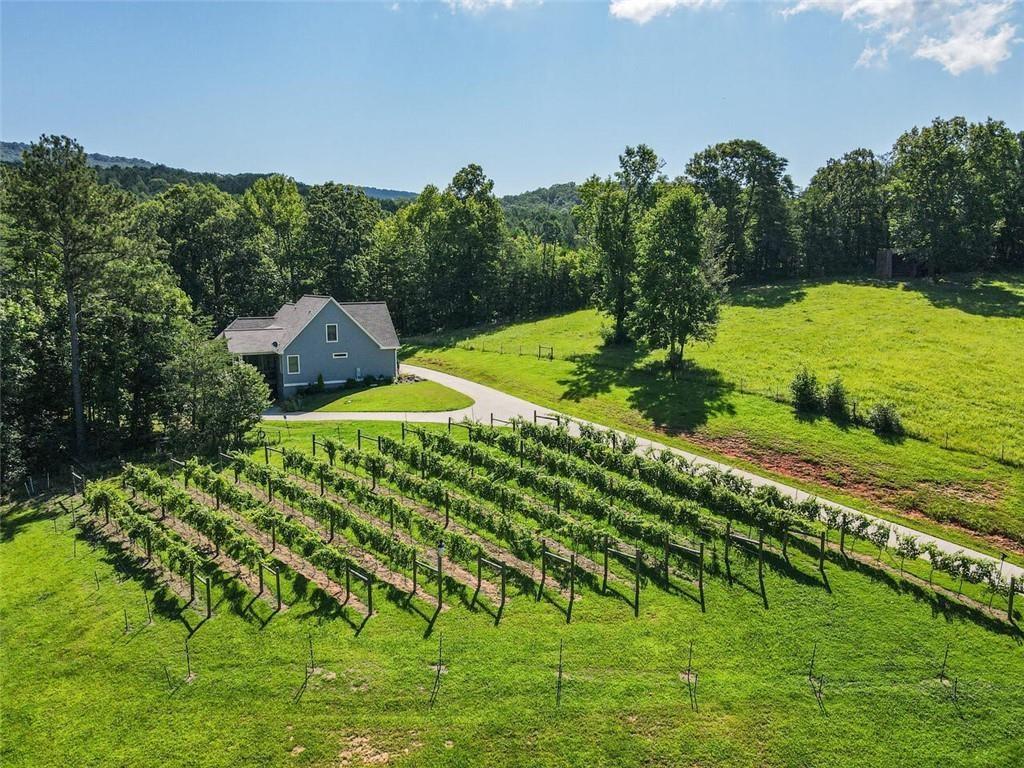 253 Happy Trails Way Jasper, GA 30143 - Photo 122 of 147