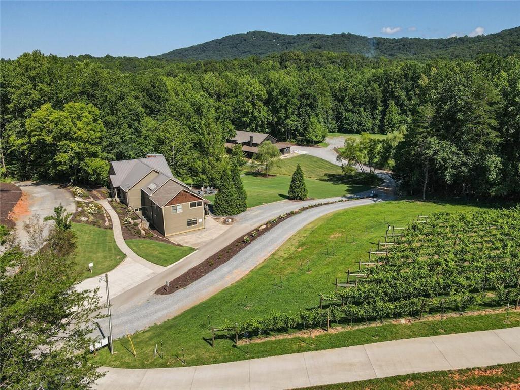 253 Happy Trails Way Jasper, GA 30143 - Photo 124 of 147 an aerial view of a house with a yard
