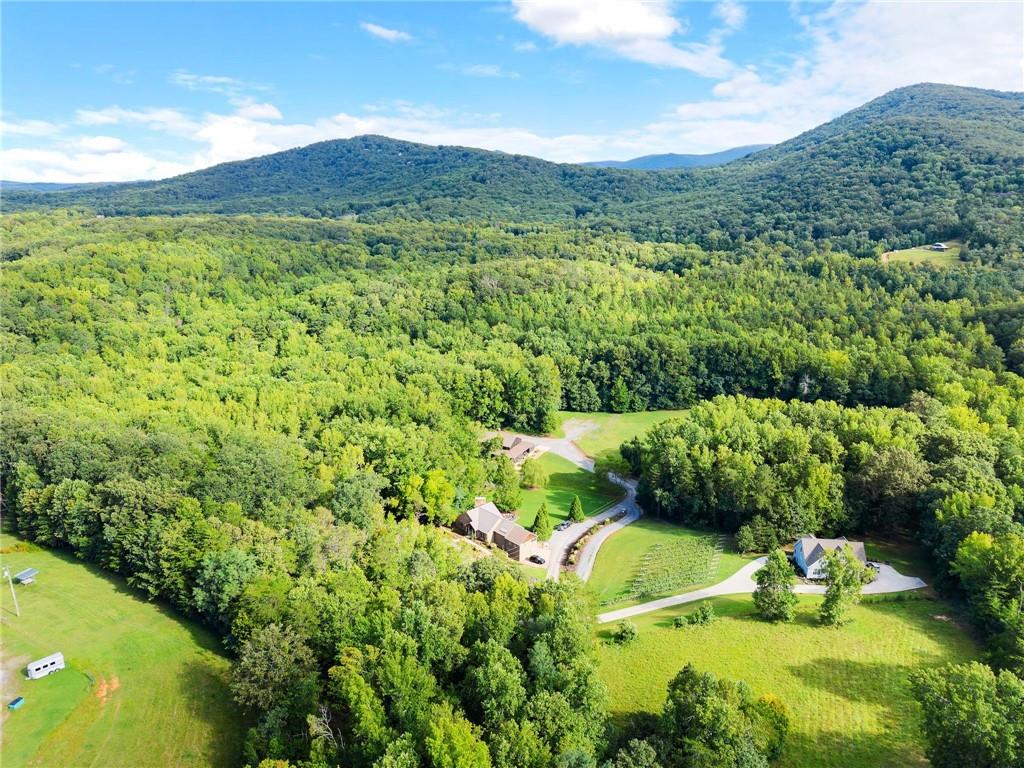 253 Happy Trails Way Jasper, GA 30143 - Photo 130 of 147 a view of a lush green forest with trees and some houses