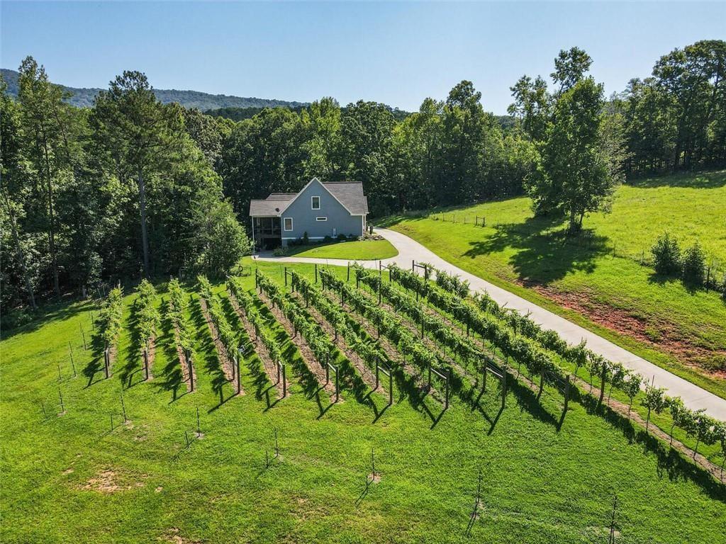 253 Happy Trails Way Jasper, GA 30143 - Photo 131 of 147