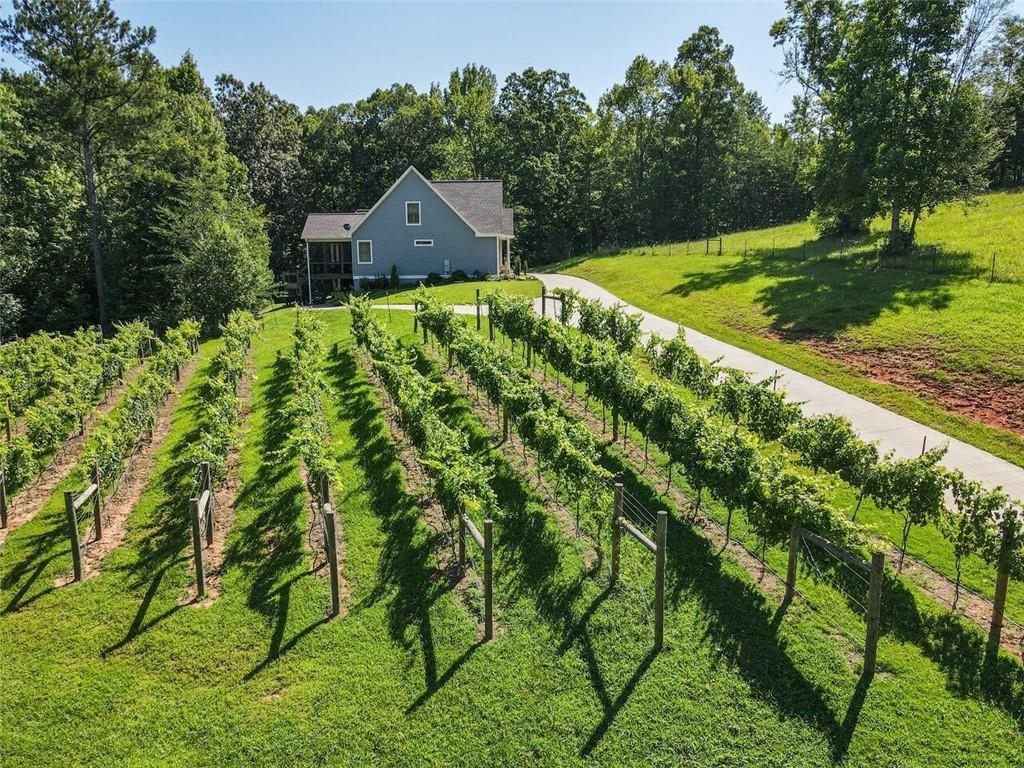 253 Happy Trails Way Jasper, GA 30143 - Photo 133 of 147