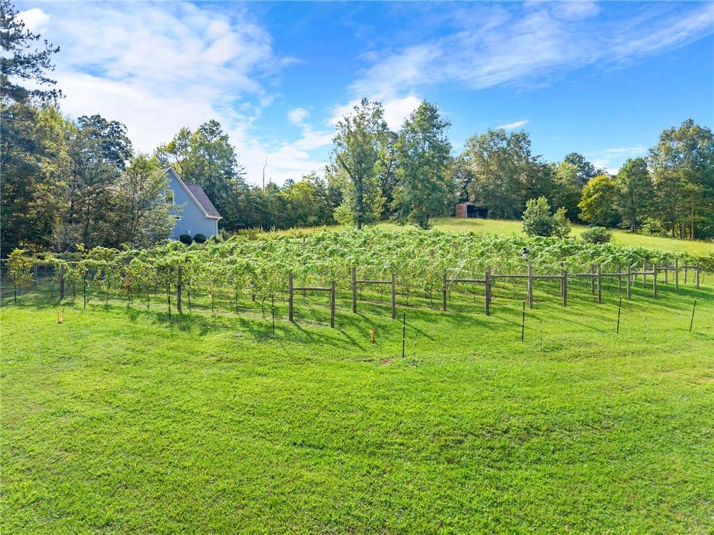 253 Happy Trails Way Jasper, GA 30143 - Photo 135 of 147