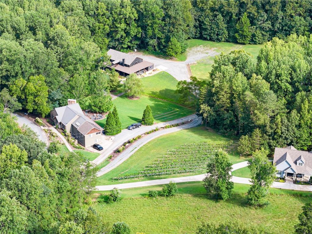 253 Happy Trails Way Jasper, GA 30143 - Photo 139 of 147 an aerial view of residential house with outdoor space and trees all around