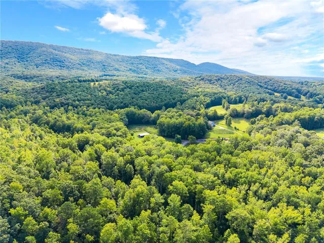 $3,250,000 | 253 Happy Trails Way, Jasper, GA 30143