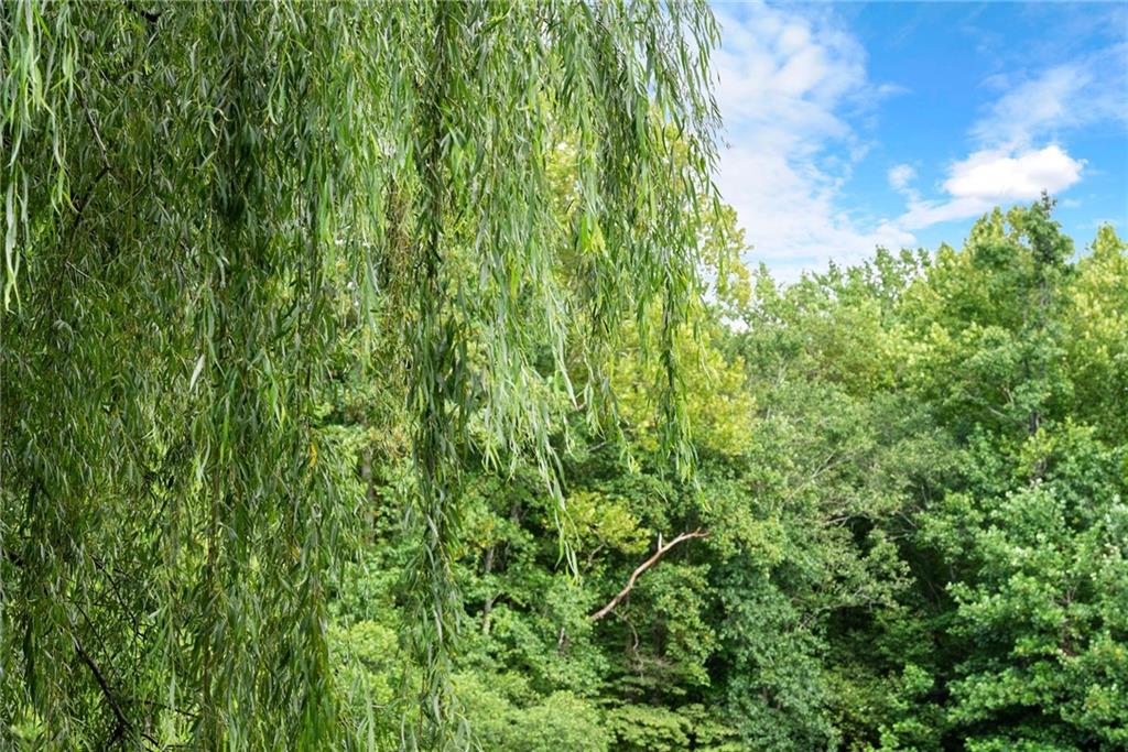 253 Happy Trails Way Jasper, GA 30143 - Photo 141 of 147