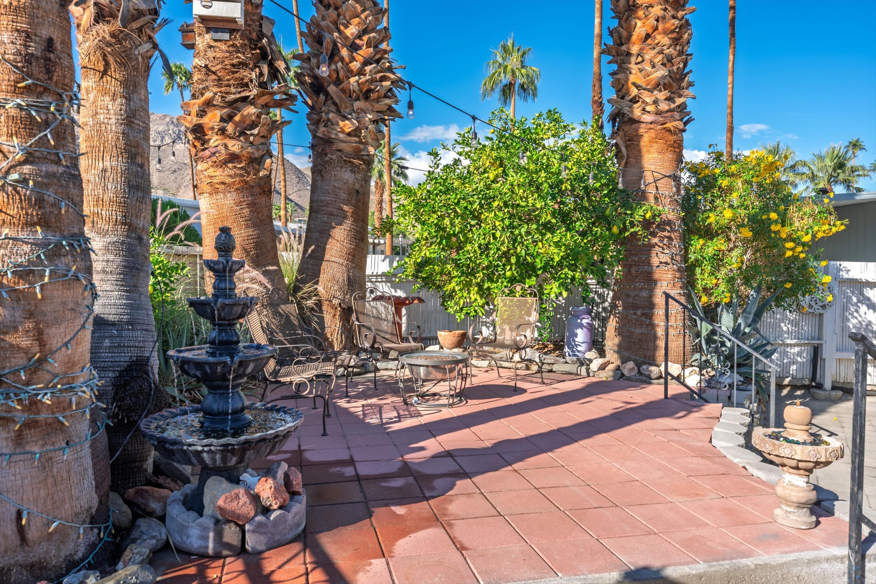 70260 Highway 111, Unit 42 Rancho Mirage, CA 92270 - Photo 11 of 35 a view of a backyard with plants