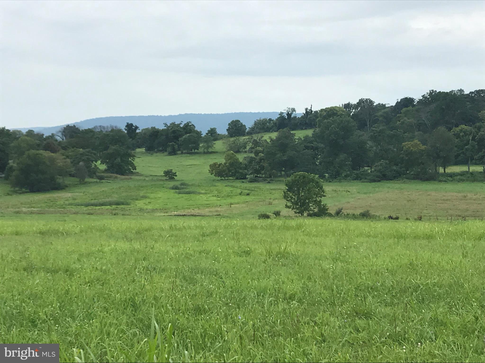 35516 Paxson Road Purcellville, VA 20132 - Photo 11 of 23 View