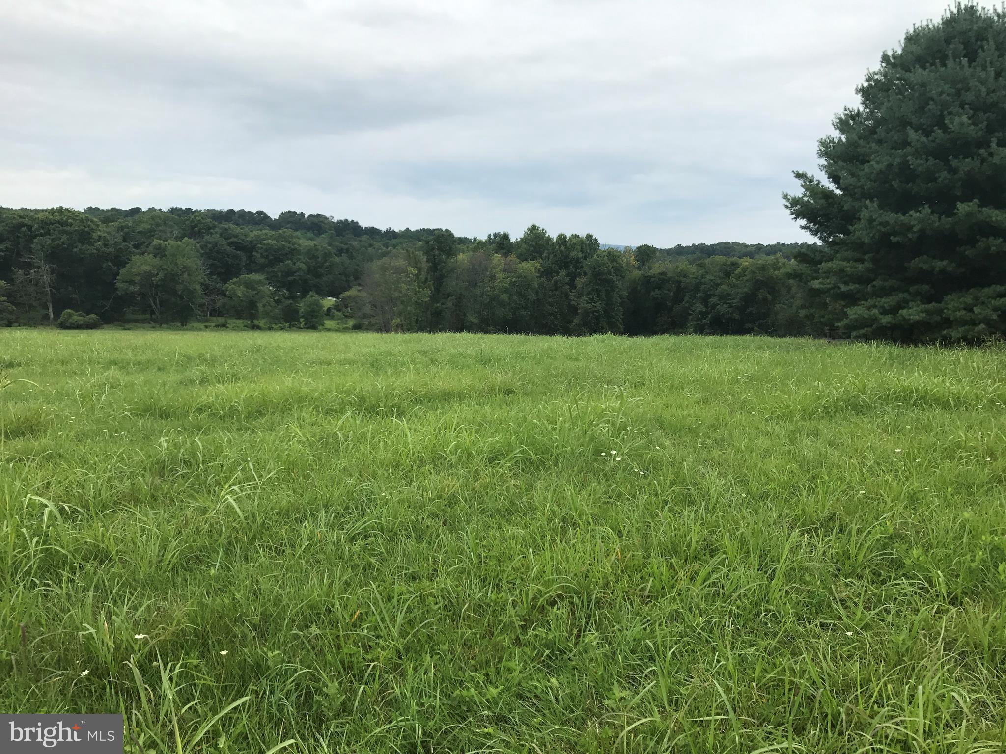 35516 Paxson Road Purcellville, VA 20132 - Photo 5 of 23 View