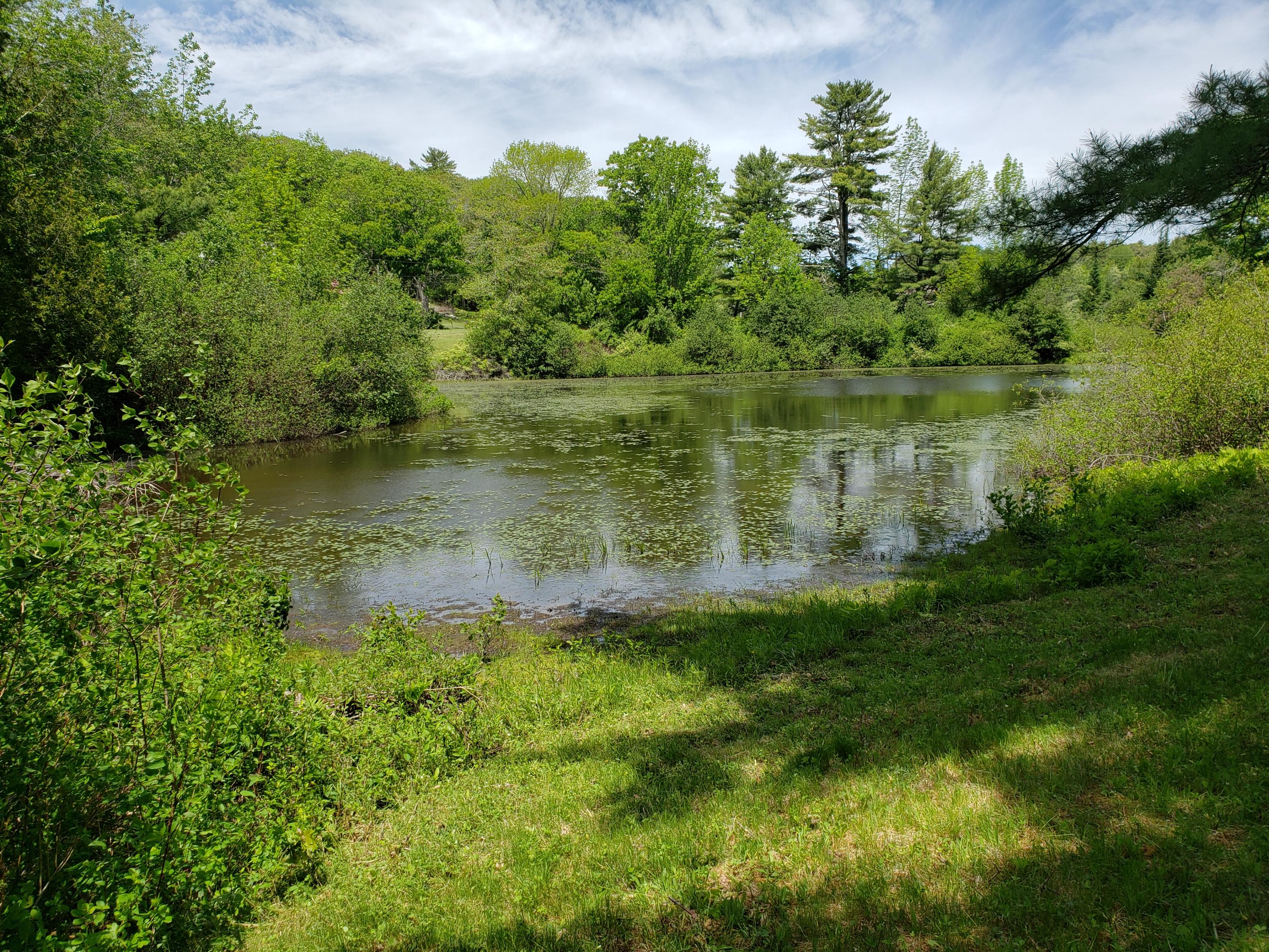 265 River Road Boothbay, ME 04537 - Photo 5 of 7 20210528_122246
