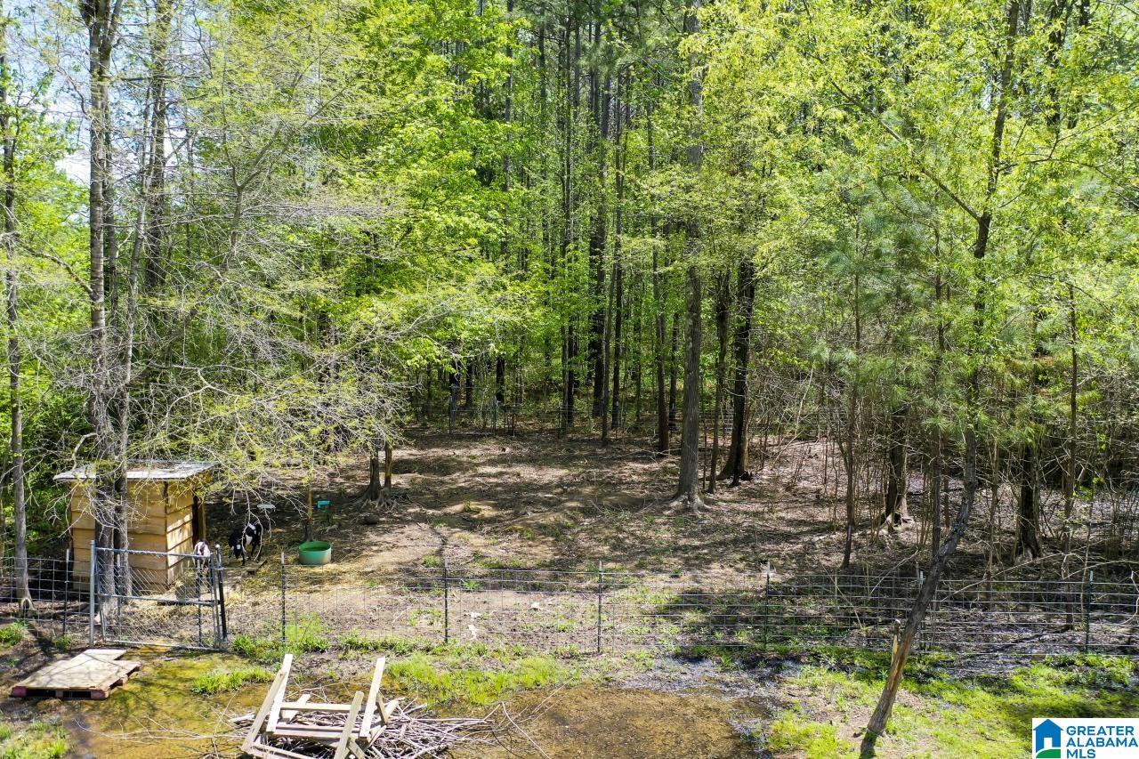 2684 Covered Bridge Road Cleveland, AL 35049 - Photo 48 of 49