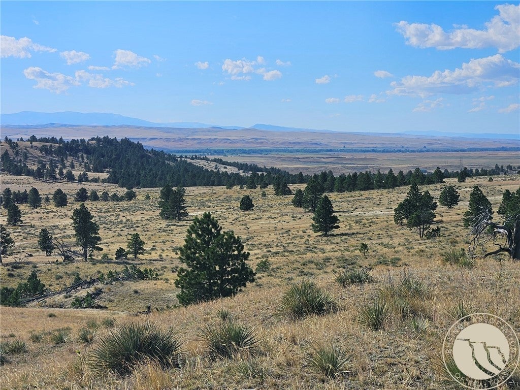 Nhn Lookout Point Road Shawmut, MT 59078 - Photo 6 of 32 Gallery Image 6