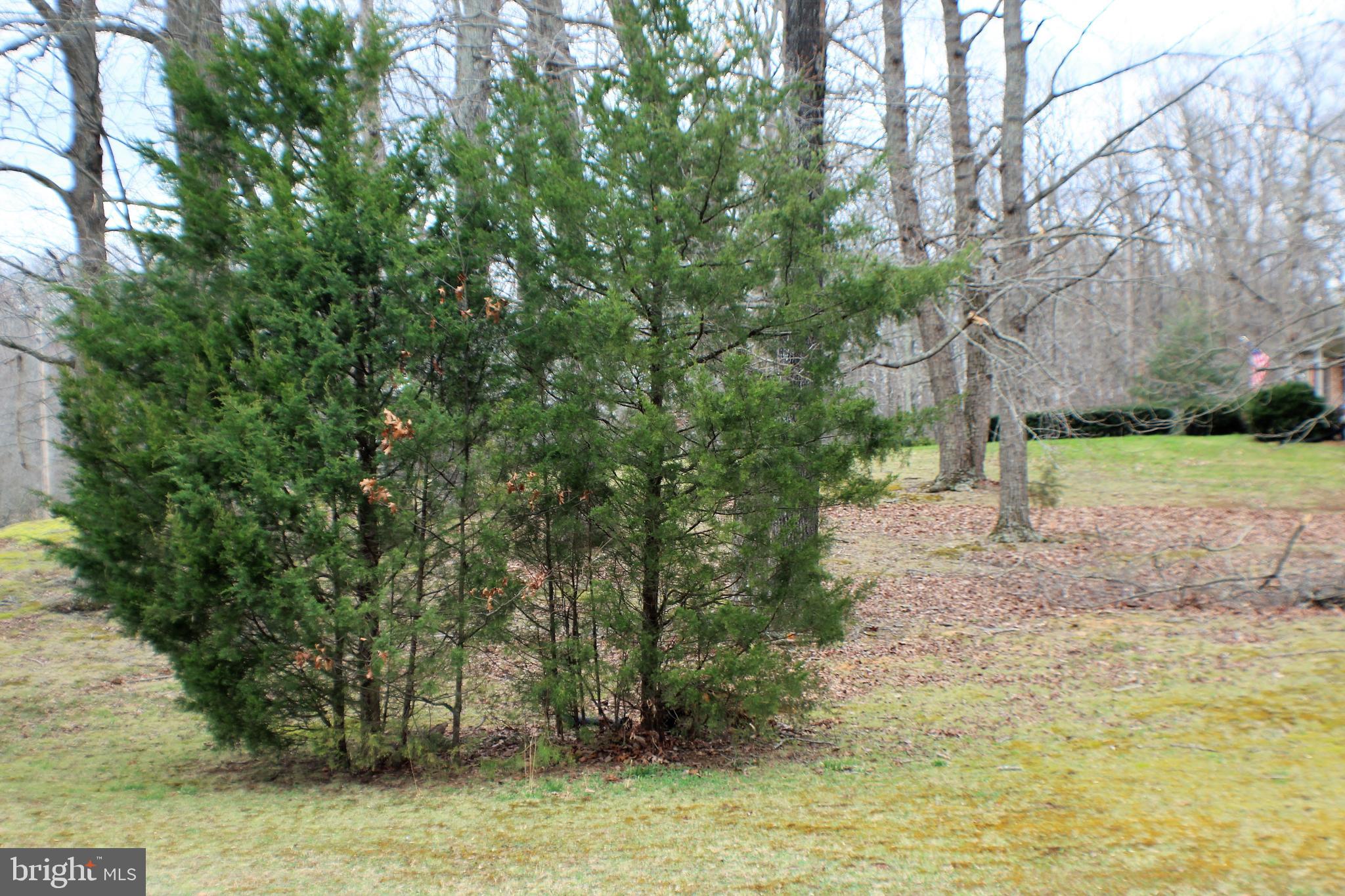 4249 Razor Hill Road Bealeton, VA 22712 - Photo 53 of 61 Gallery Image 53