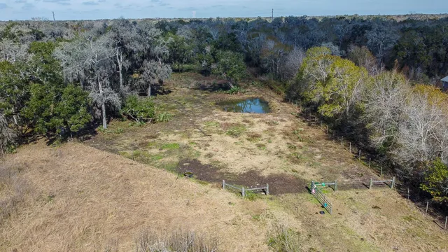 a view of a yard with plants