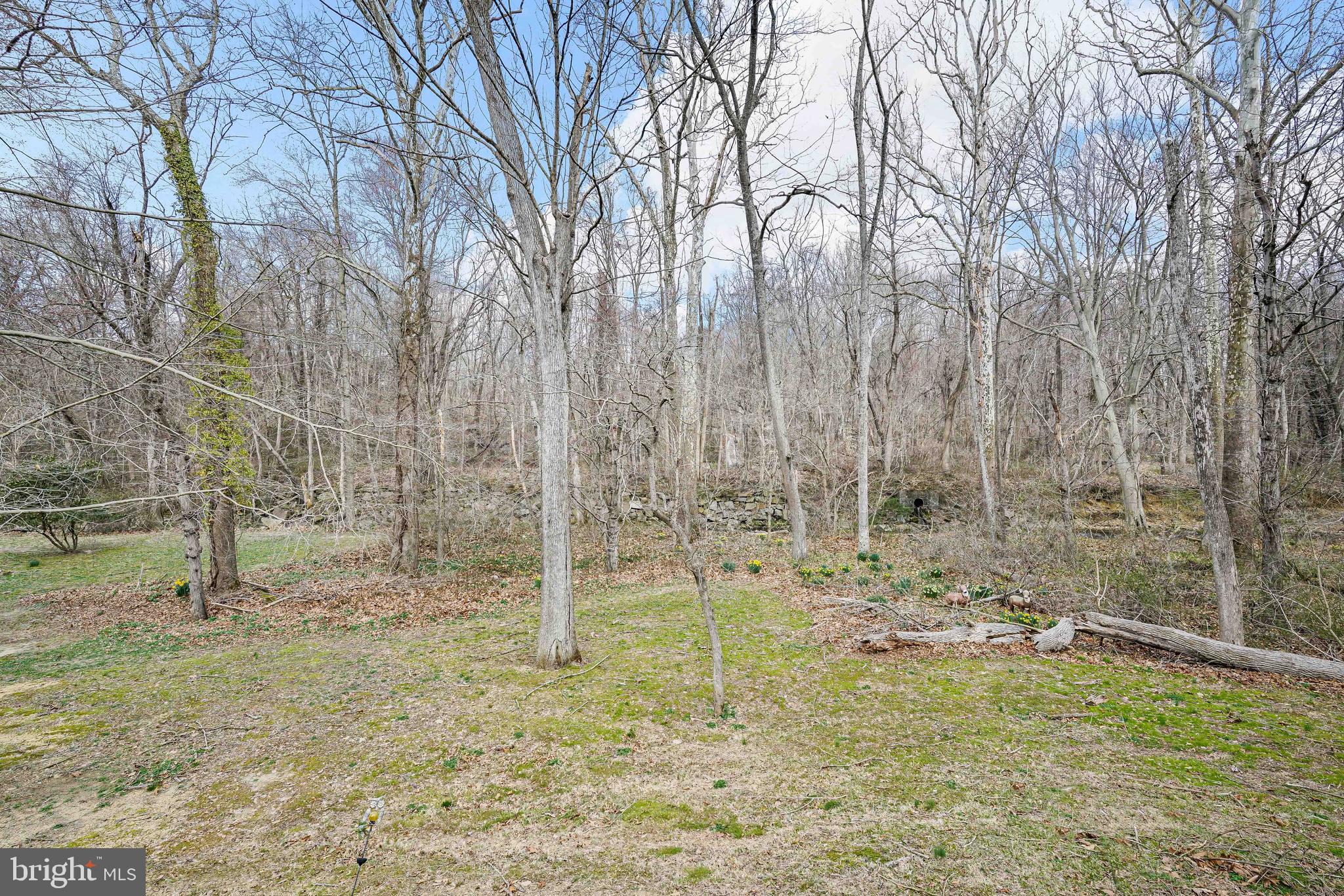 415 Basin Run Road Conowingo, MD 21918 - Photo 13 of 28