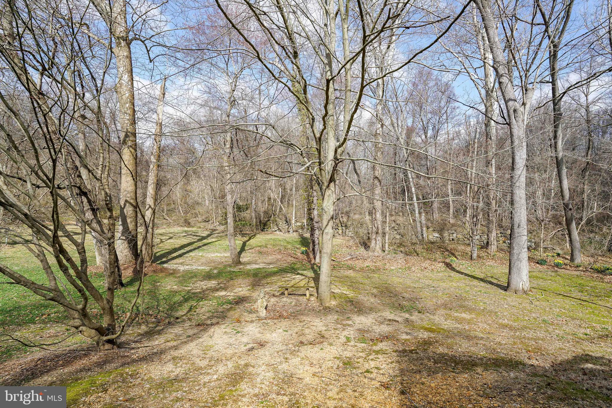 415 Basin Run Road Conowingo, MD 21918 - Photo 6 of 28