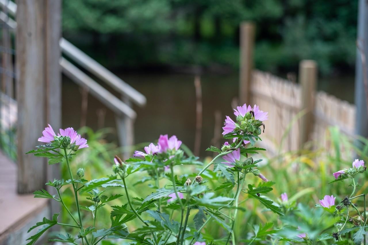 6069 Parke Road Indian River, MI 49749 - Photo 22 of 34 Gallery Image 22