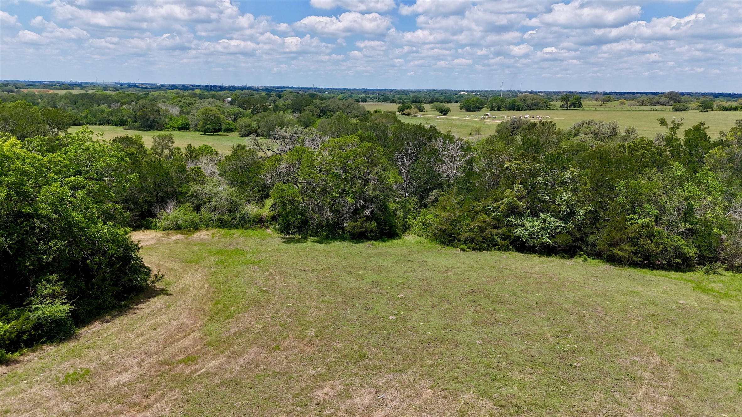 1049 Muehr Road Weimar, TX 78962 - Photo 22 of 24 a view of a field with an ocean