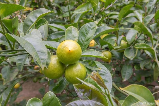 $835,800 | 1930 Eddy Street, Unit 303, San Francisco, CA 94115