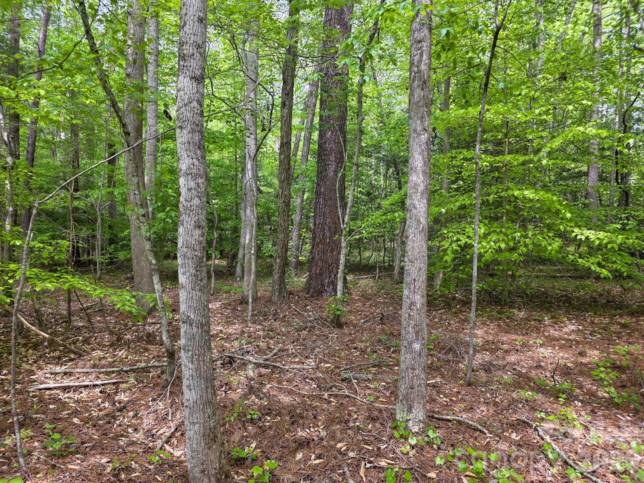 0 Romey Campbell Road Ellenboro, NC 28040 - Photo 13 of 41