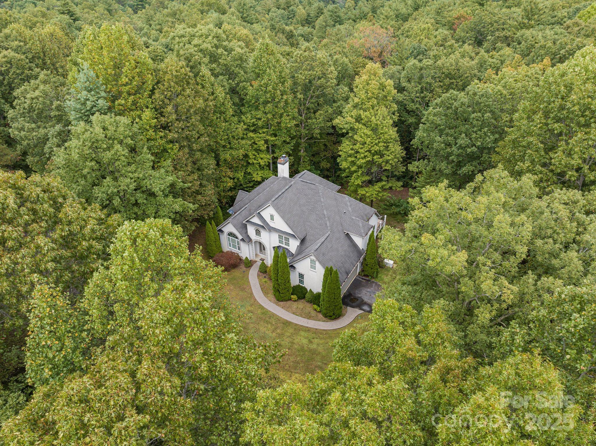 45 Brown Bear Ridge Trail Zirconia, NC 28790 - Photo 45 of 47 a view of a backyard