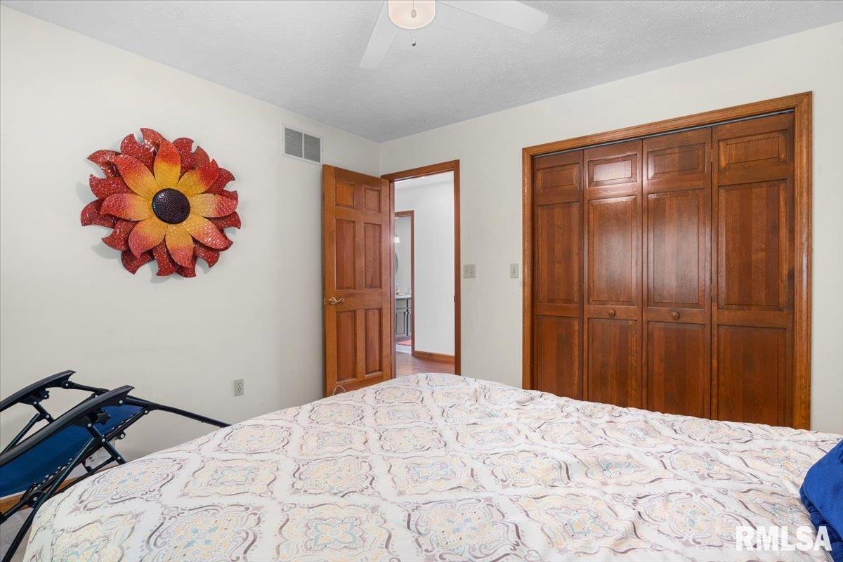304 Missionary Ridge Drive Springfield, IL 62711 - Photo 14 of 36
