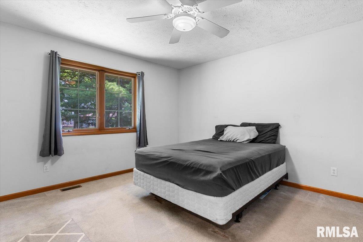 304 Missionary Ridge Drive Springfield, IL 62711 - Photo 19 of 36