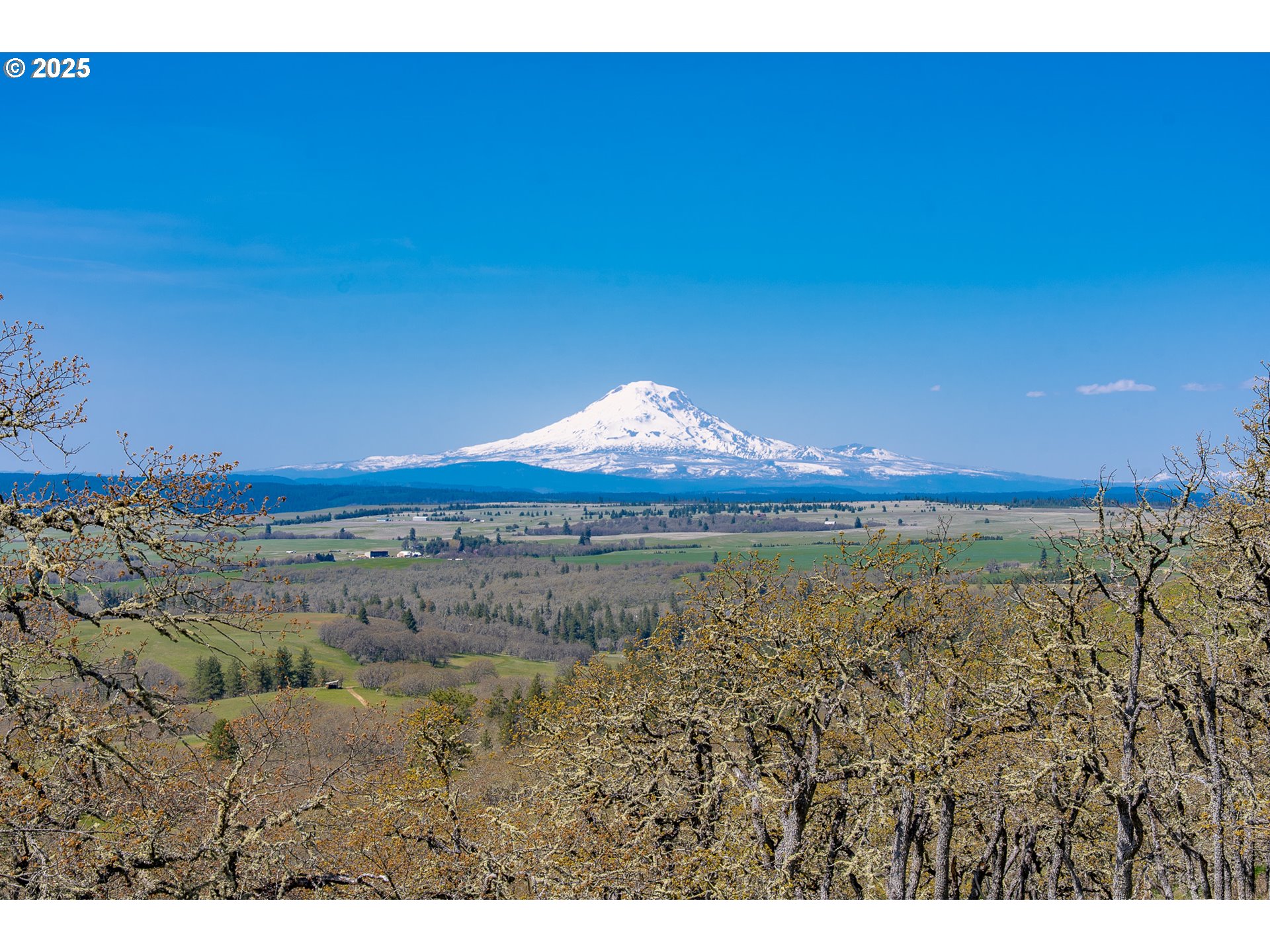 a view of an ocean and a beach