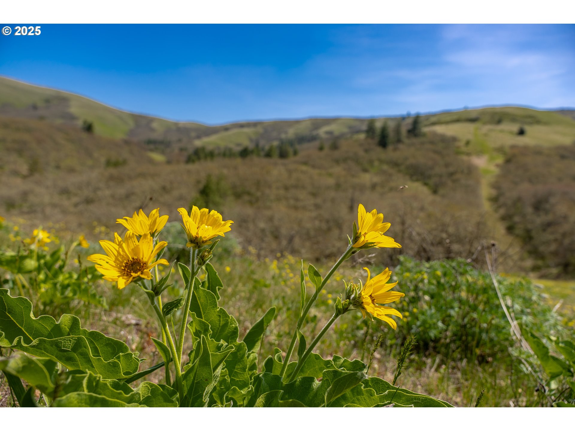 Stacker Butte Road Lyle, WA 98635 - Photo 14 of 30 a view of a lake