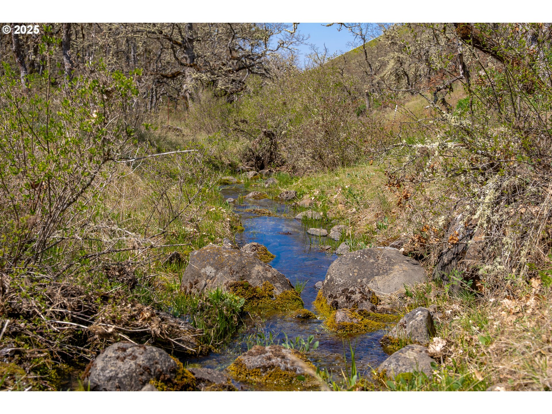 Stacker Butte Road Lyle, WA 98635 - Photo 15 of 30 a view of outside area