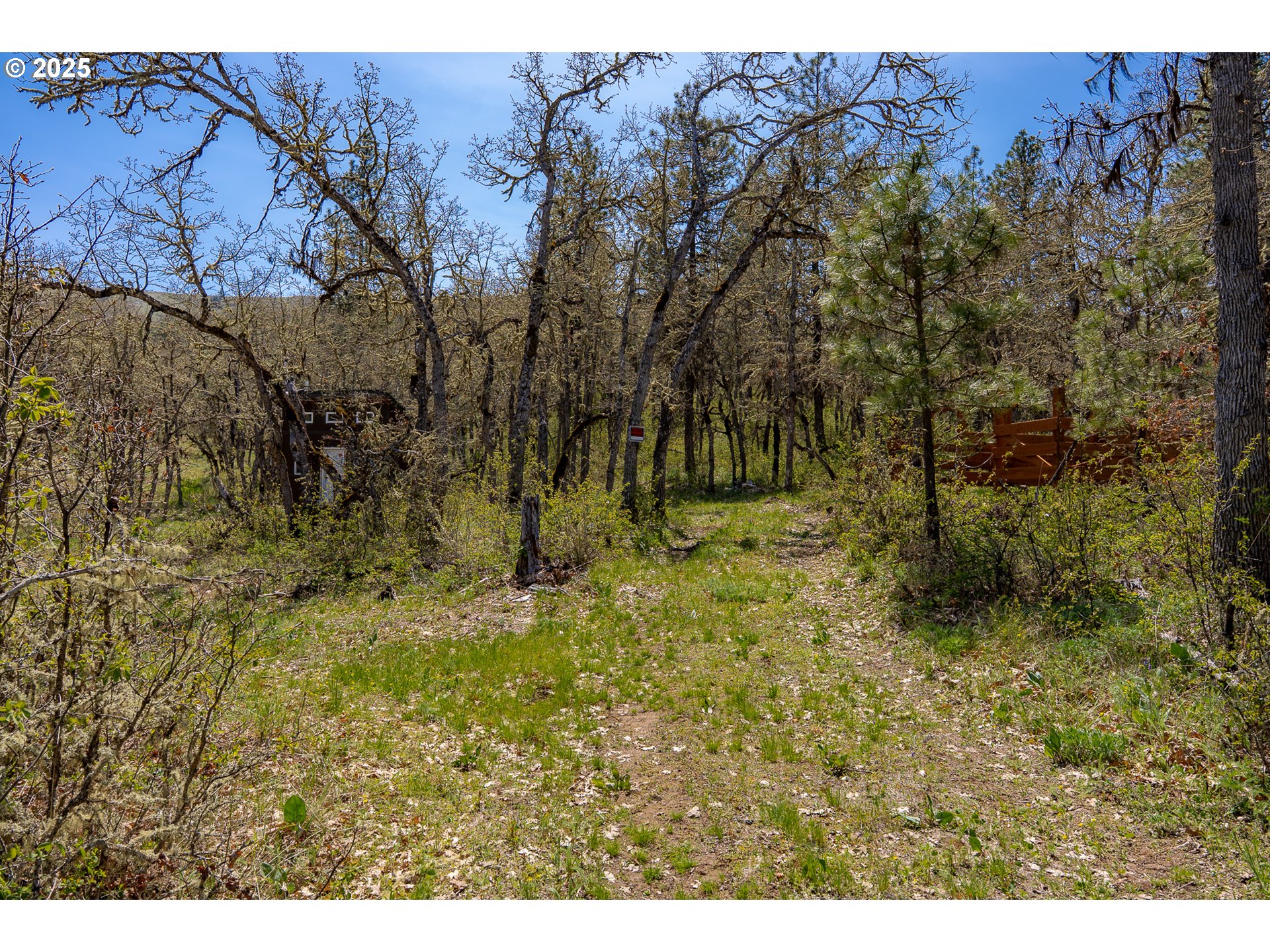 Stacker Butte Road Lyle, WA 98635 - Photo 17 of 30 a view of outdoor space with trees all around