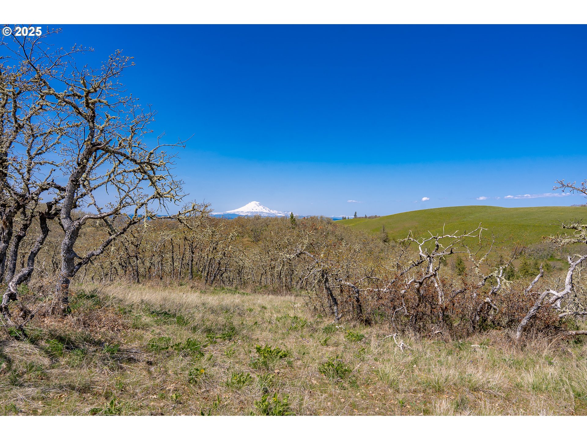Stacker Butte Road Lyle, WA 98635 - Photo 18 of 30 a view of mountain view with sky view