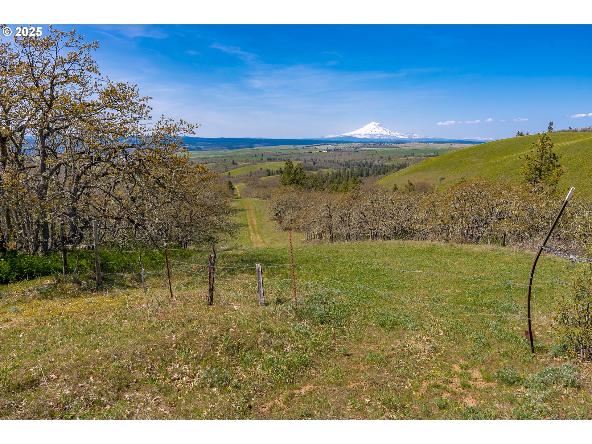 Stacker Butte Road Lyle, WA 98635 - Photo 19 of 30 a view of a yard with an ocean view