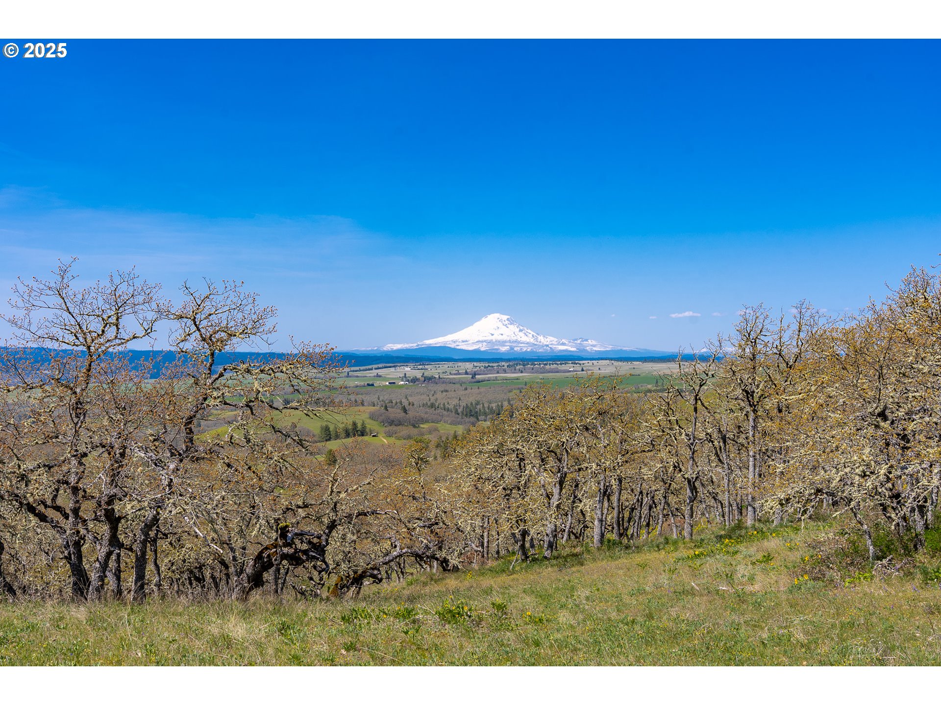 Stacker Butte Road Lyle, WA 98635 - Photo 20 of 30