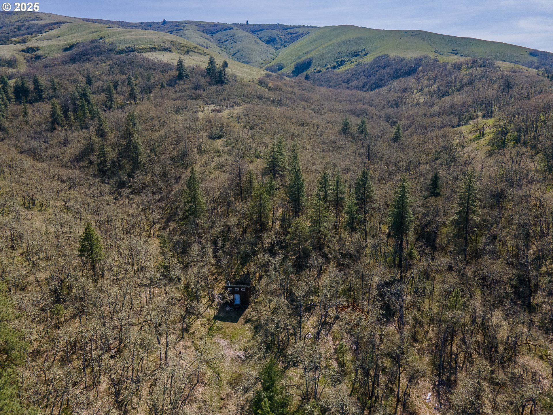 Stacker Butte Road Lyle, WA 98635 - Photo 2 of 30 a view of a forest with mountains in the background