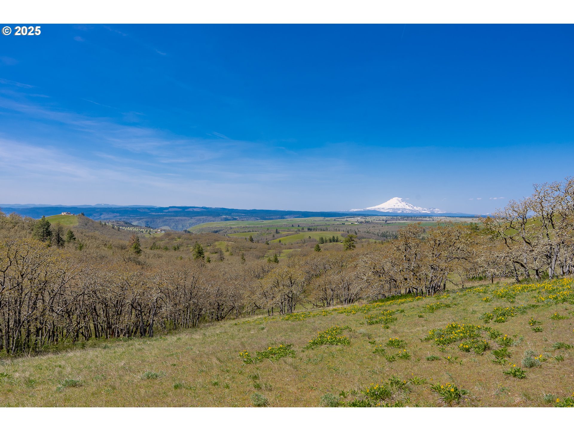 Stacker Butte Road Lyle, WA 98635 - Photo 21 of 30 a view of an ocean