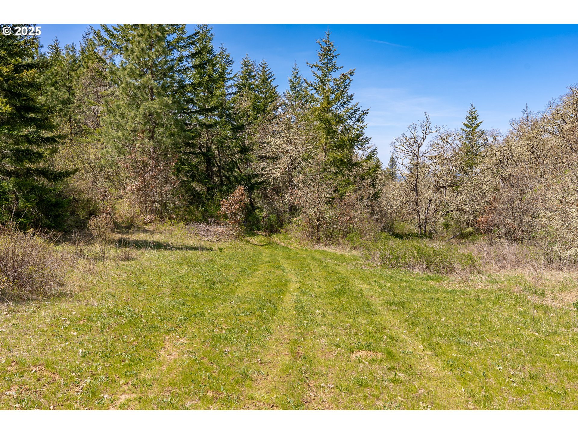Stacker Butte Road Lyle, WA 98635 - Photo 23 of 30 a view of a yard
