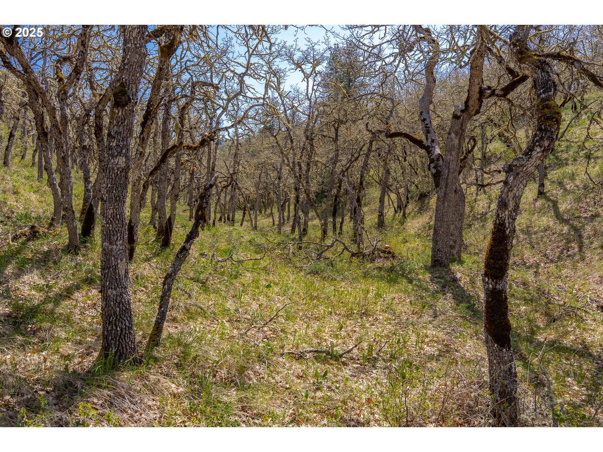 Stacker Butte Road Lyle, WA 98635 - Photo 26 of 30