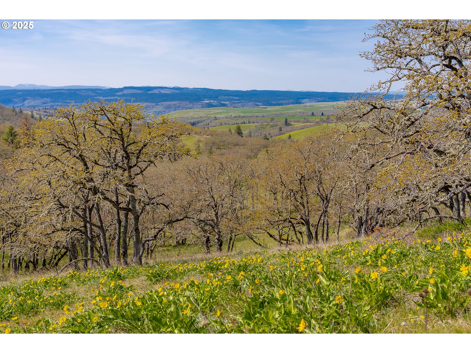 Stacker Butte Road Lyle, WA 98635 - Photo 29 of 30 a view of an outdoor space and a yard