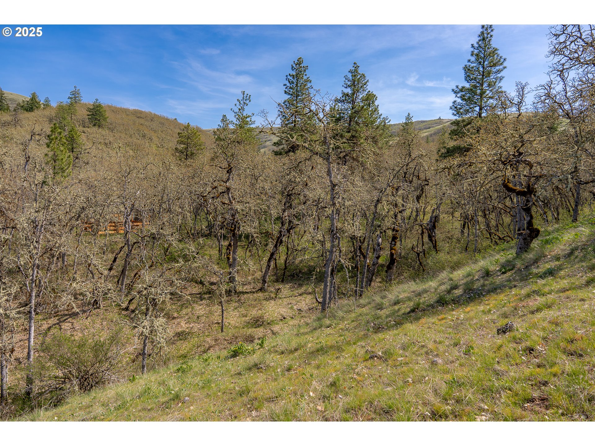 Stacker Butte Road Lyle, WA 98635 - Photo 30 of 30 a view of a yard with a tree