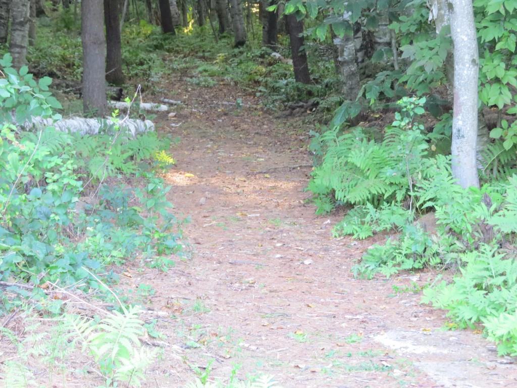 188 Bearce Road Winthrop, ME 04364 - Photo 32 of 35 Photo
