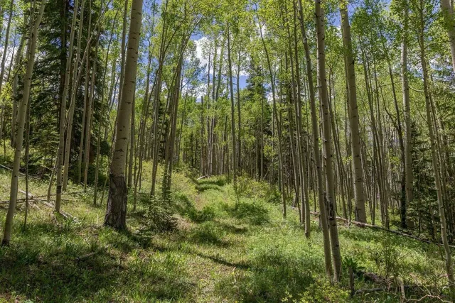 a view of outdoor space and green space