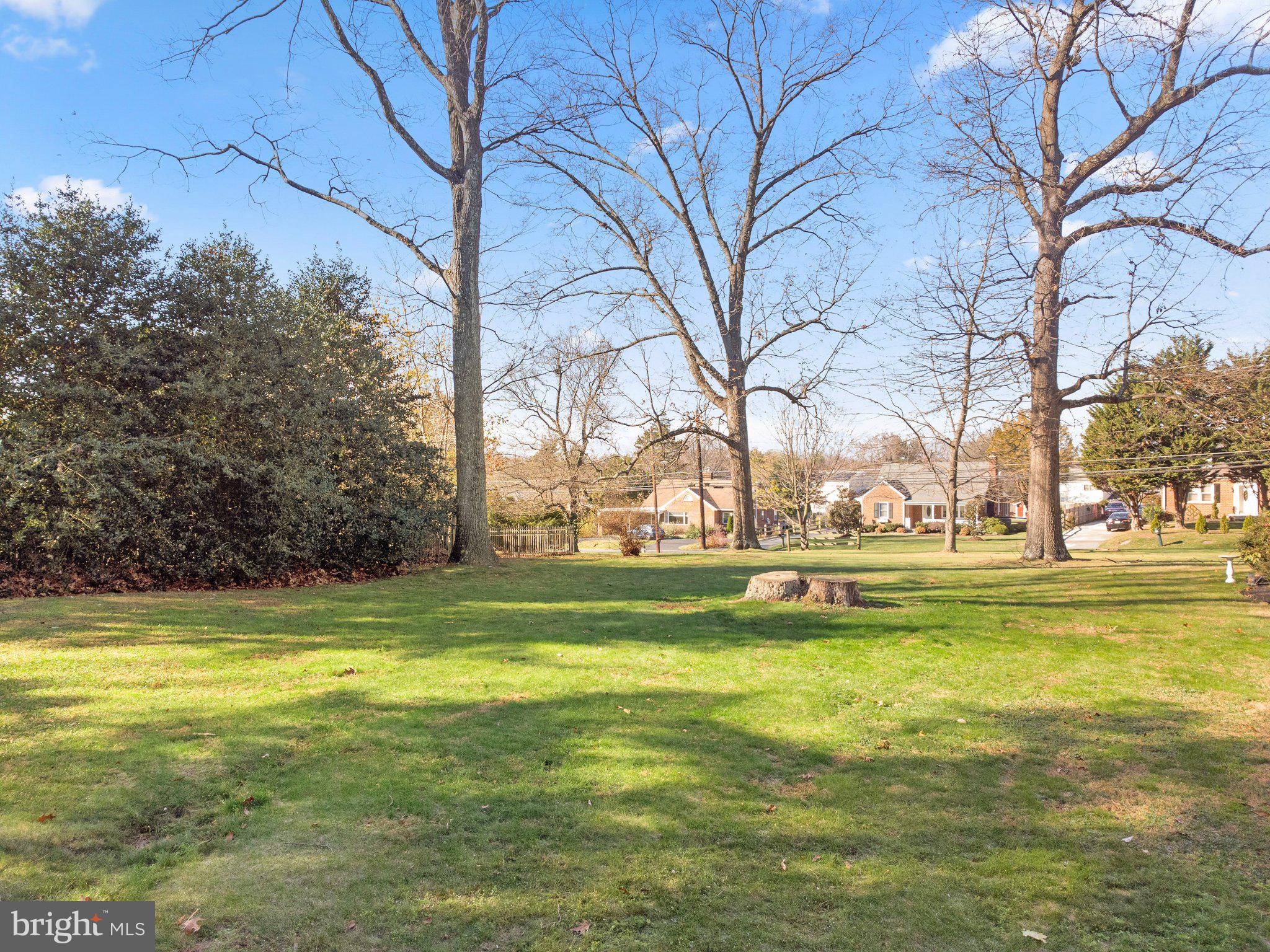 25915 Woodfield Road Damascus, MD 20872 - Photo 53 of 61 Side Yard